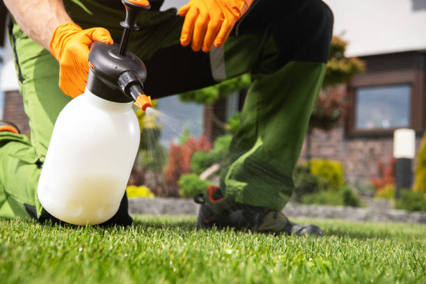 Flea Control Services in Jackson, SC