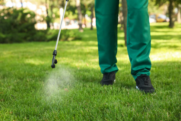 Best Cockroach Control Services  in Jackson, SC