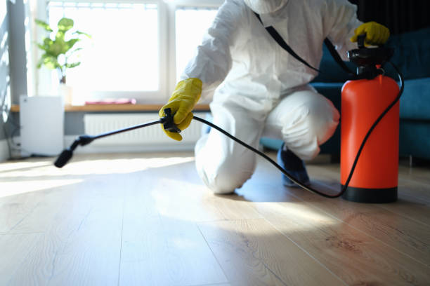 Best Flea Control Services  in Jackson, SC