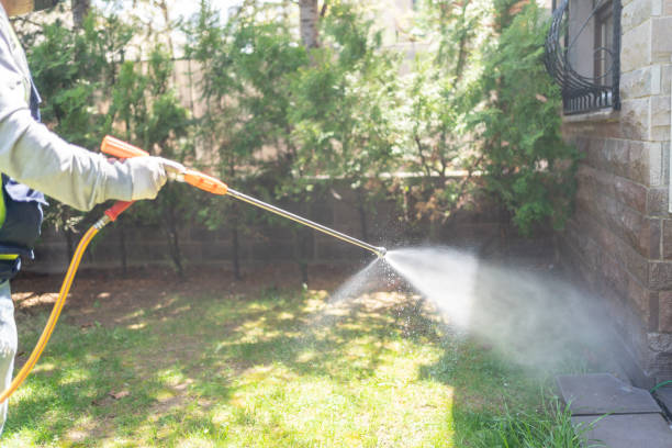 Best Spider Control Near Me  in Jackson, SC