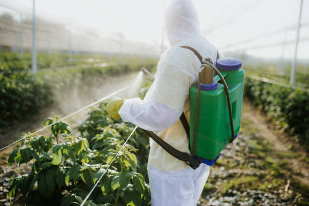 Best Best Pest Control Companies  in Jackson, SC